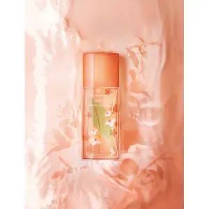 [정품] Elizabeth Arden 엘리자베스 아덴그린티 넥타린 블러썸 EDT 100ml 890645
