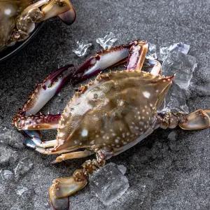 신진도 앞바다 빙장꽃게 2kg (암수 랜덤 6~10미)