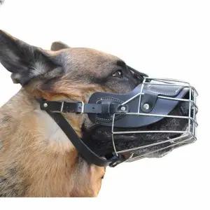 대형견 입질 입마개 물림 튼튼한 물림 셰퍼드 짖음