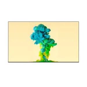 (LG)OLED65C5FNA  벽걸이 (IN)