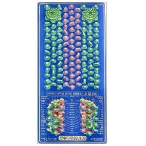 [지압] 헬스원 지압매트 FGC 5500(L)