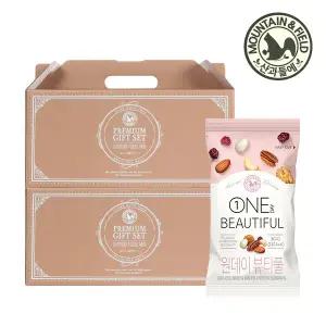 [산과들에] 프리미엄 하루견과류 원데이뷰티풀 20봉+20봉 선물세트