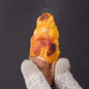 달콤 해남 꿀 밤고구마 10kg 대왕(300-550g)