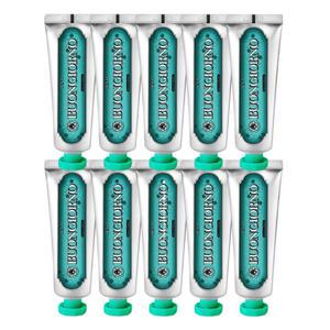 덴티본조르노 구취케어치약 100g 10개