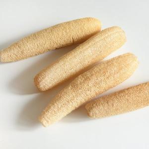 [라이프스토리]장수 통통한 천연수세미 20~25cm 5개 주방 설거지