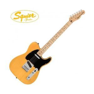 스콰이어 Squier 일렉기타 Affinity Telecaster MN Butterscotch Blonde (037-8203-550)