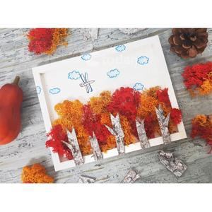 초등 가을수업 자연물 모스 자작나무숲 액자만들기 (5인세트) 어린이만들기