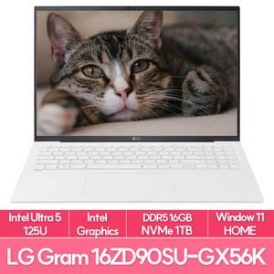 LG전자 그램16 16ZD90SU-GX56K 인텔 울트라5 램8G+8추가 NVMe1TB교체 WIN11 사무용 노트북 추천 EU