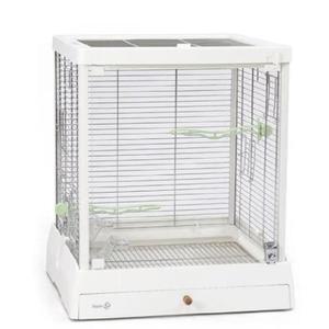 렉산 새장 앵무새 투명 횃대 이동장 조류 이동 새집 알통 모란 잉꼬 렉산새장 케이지