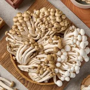 국산 무농약 만가닥버섯 흰색(150gx4팩)