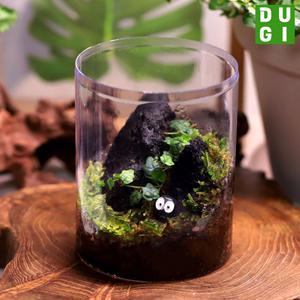 제주애기모람 테라리움 만들기 DIY 키트 긴원형 비단이끼 키우기 비바리움