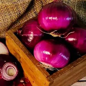 국산 적양파 자주색 자색양파 5kg(특/대/혼합)