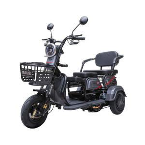 삼발이오토바이 전기 농촌 삼륜 세발바이크 캐노피 전기바이크 적재 농업용운반차
