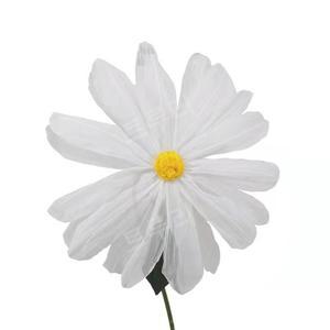 자이언트플라워 데이지 홈 웨딩 행사 봄 배경 포토죤