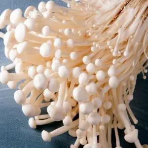 국내산 팽이버섯 벌크 2kg