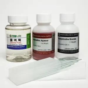 물벼룩 심장박동실험 키트 호르몬실험 재료 과학용품