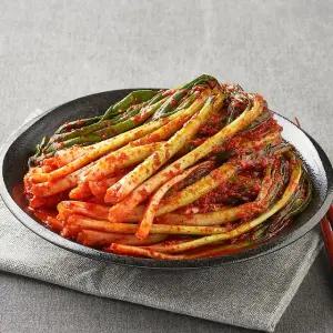 새로이김치 국내산 파김치 1kg