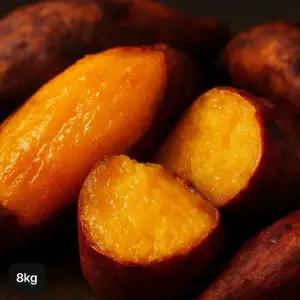 해남 햇 다모 호박고구마 특등급 8kg(4kgX2박스)