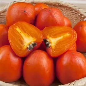 영암 대봉감 중대과 10kg 35과내외