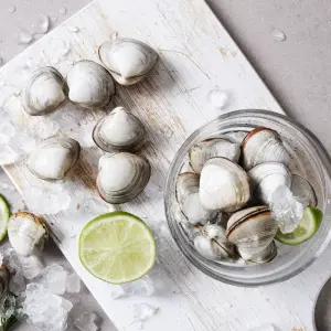 [행사 7,830] 충남 서천 동죽 1kg 조개 해감 후 발송 활조개