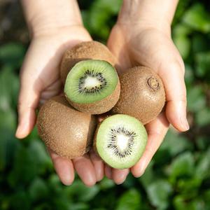 제스프리 그린 키위 3kg/2kg 중대과 크기