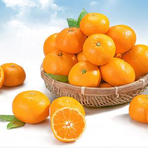 다사모농장 제주 노지 감귤 귤 10KG 소과 중과 로얄과 프리미엄