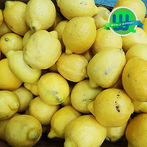 실속못난이(기스흠집) 레몬 165입(개당 100g 165과)