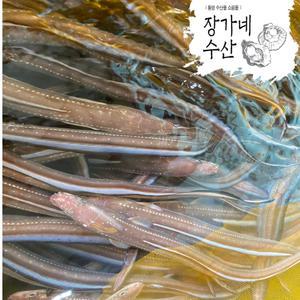 통영자연산100% 손질 바다장어1kg 붕장어(아나고)