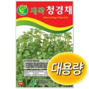 대용량 새싹씨앗 청경채 1kg