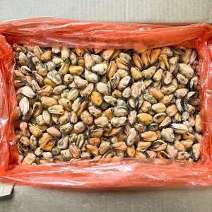 칠레 자숙홍합살 200/300 (9kg)