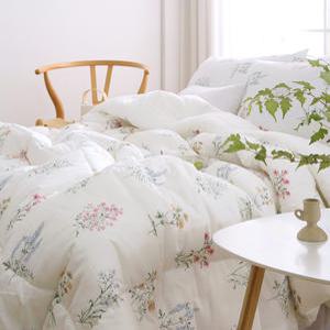 플로라 앨리스 순면 차렵이불 단품 및 세트 SS/Q/K/EK