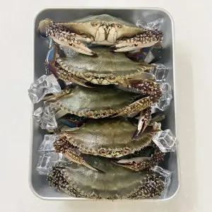 제철 급냉 숫꽃게 1kg 속이 꽉찬 냉동 서해안 꽃게