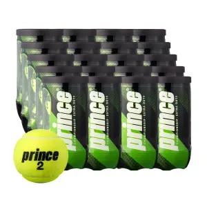 프린스 테니스볼 챔피언쉽 시합구 24캔-48구 테니스공 인기상품