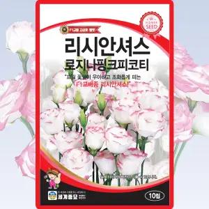 리시안셔스 로지나핑크피코티 씨앗 10립 리시안셔스 도라지꽃 씨 종자