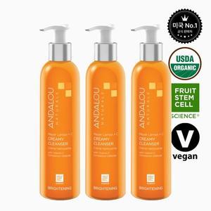 안달로우 오늘출발 비타민C 크리미 미백 클렌저 178ml 3개