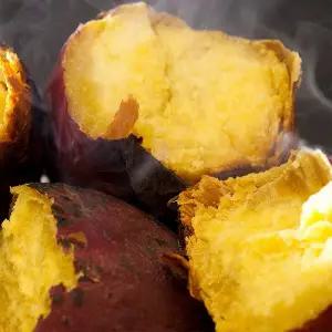 25년수확 해남 햇 꿀고구마 10kg 대용량특가