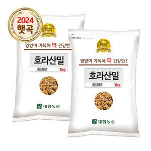 호라산밀 2kg (1kgx2봉) / 고대곡물 통곡물 안전박스포장