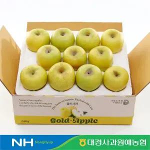 [대경사과원예농협]청송 가정용 시나노골드 2.5kg 13과내