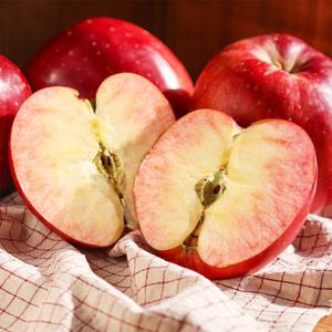 엔부사과 초고당도 피치애플 애플피치 꿀사과 가정용 소과 5kg