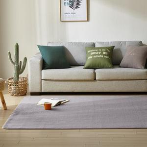 [르헤브] 워셔블 소프트 고밀도 극세사 러그 단모 카페트 (150x200)