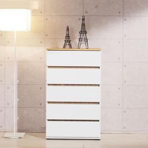 텐스페이스 루체른 600 5단 서랍장 AX4327R(착불)