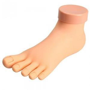 네일아트풋모델 네일아트 풋모델 마네킹 네일아트 연습용 발