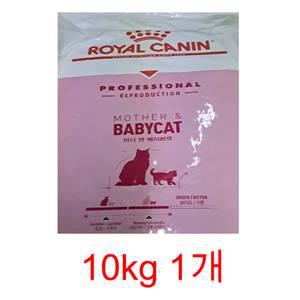 로얄캐닌 베이비 캣 10kg