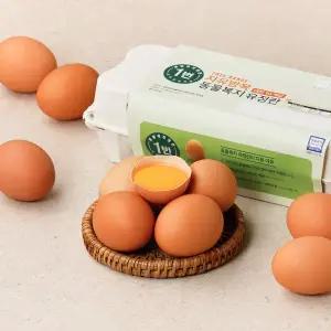 자유방목 동물복지 유정란 10개입 (대란, 520g)