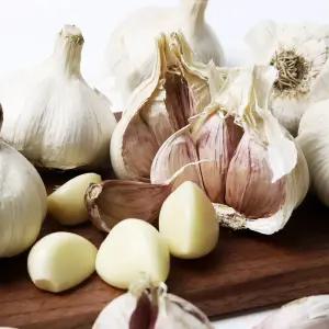 땅끝해남 햇 마늘 벌마늘 저장용 5kg 내외 (대 한접)