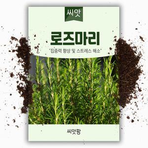 로즈마리 씨앗 30립 허브 종자 씨