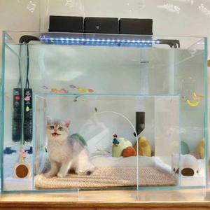 고양이 수족관 물고기 키우기 거실 수중관찰 투명 구피 알비노풀레드빅도살 그레이 고양이어항