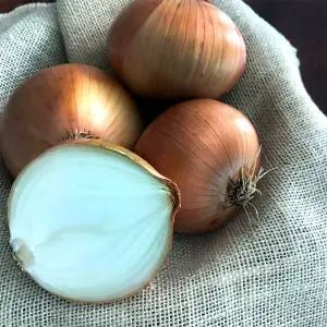 25년 무안 황토밭 햇양파 크고 달   5kg 중대 혼합