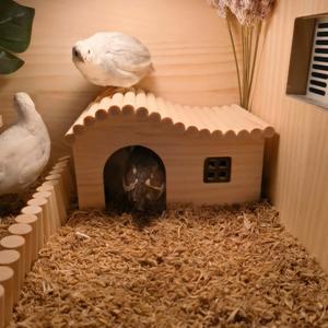 햄스터집 은신처 하우스 드워프 하우스형 팬션 클린 기니피그 로디펫 햄스터 물결