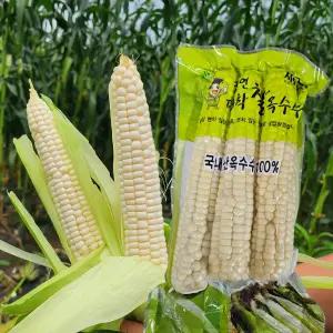 25년 괴산 대학찰옥수수 17cm이상 특품 21개 수확 즉시 삶아 냉동